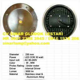 Lampu Lantai LED COB 30 watt
